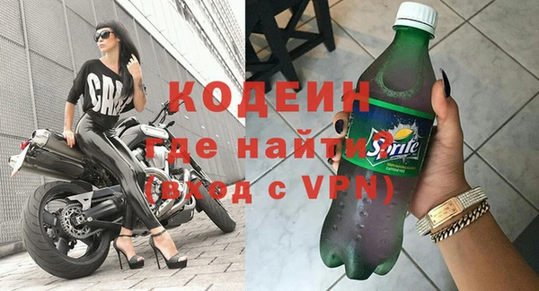 хмурый Алексин