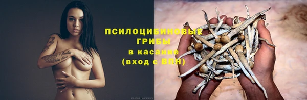 хмурый Алексин