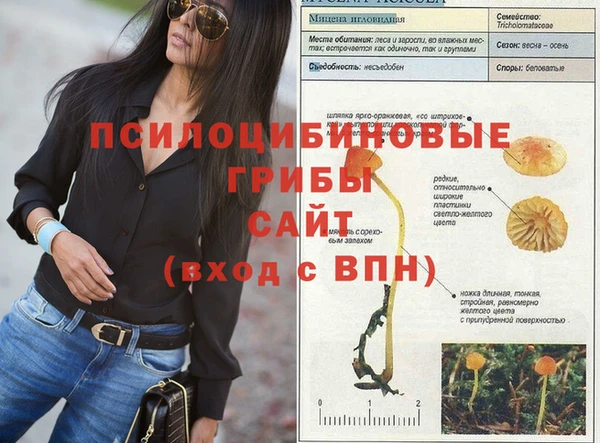 jwh Абаза