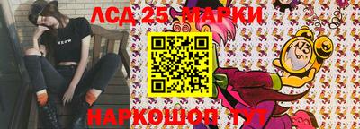 мдпв Камышлов