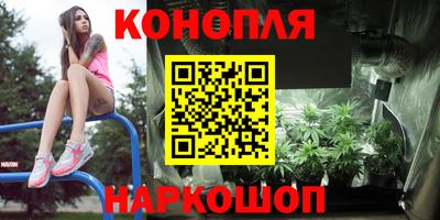 шишки Кинель