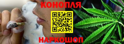индика Кингисепп