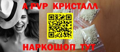 индика Кингисепп