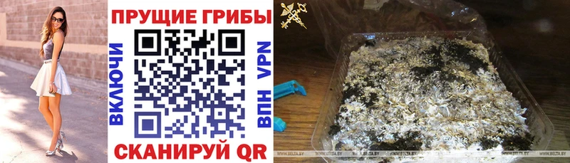 Псилоцибиновые грибы GOLDEN TEACHER  купить  цена  Ливны 