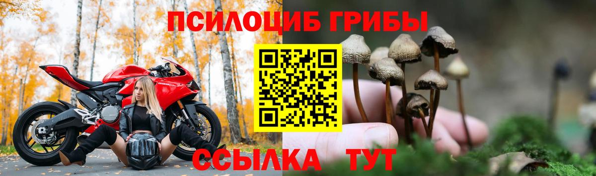Галлюциногенные грибы GOLDEN TEACHER Ливны